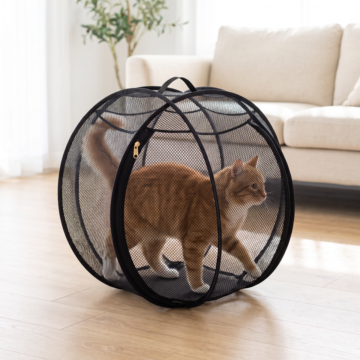 The Pet Rolly
