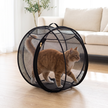 The Pet Rolly